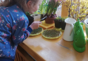 dziewczynka obserwuje roślinki na parapecie